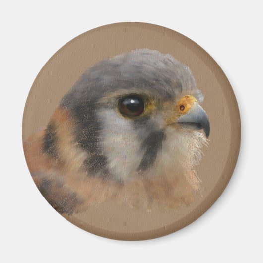 American Kestrel Magnet (Vorne)