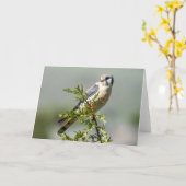 American Kestrel Notecard Karte (Gelbe Blume)