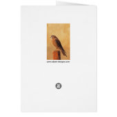 American Kestrel Painting - Original Bird Art (Hinten)