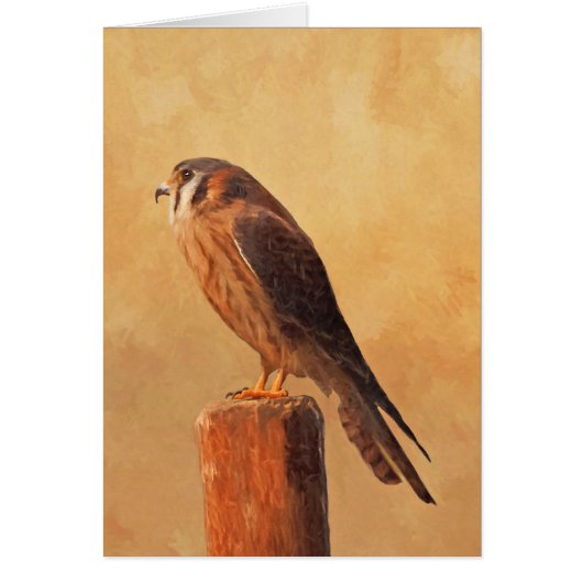 American Kestrel Painting - Original Bird Art (Vorne)