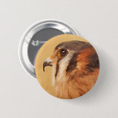 American Kestrel Painting - Original Bird Art Button (Vorne & Hinten)