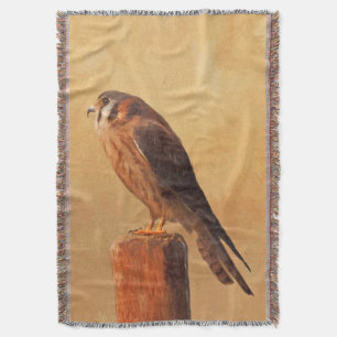 American Kestrel Painting - Original Bird Art Decke