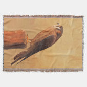 American Kestrel Painting - Original Bird Art Decke (Vorderseite)