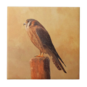 American Kestrel Painting - Original Bird Art Fliese