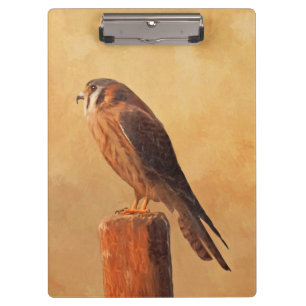 American Kestrel Painting - Original Bird Art Klemmbrett