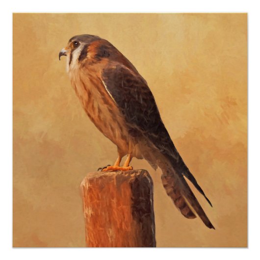 American Kestrel Painting - Original Bird Art Poster (Vorderseite)