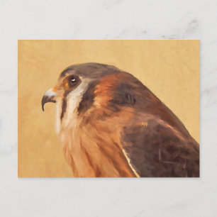 American Kestrel Painting - Original Bird Art Postkarte