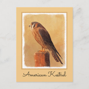American Kestrel Painting - Original Bird Art Postkarte
