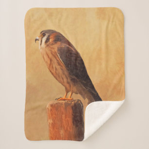 American Kestrel Painting - Original Bird Art Sherpadecke