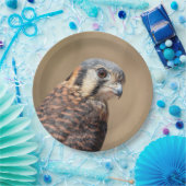 American Kestrel Pappteller (Party)