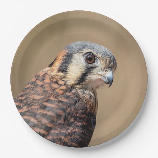 American Kestrel Pappteller (Vorderseite)