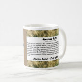 American Kestrel Portrait Kaffeetasse (VorderseiteRechts)