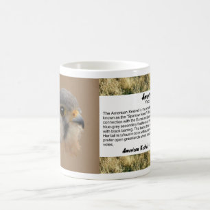 American Kestrel Portrait Kaffeetasse
