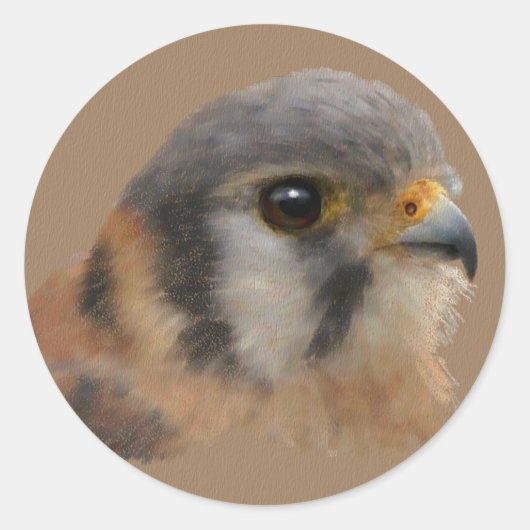 American Kestrel Portrait Runder Aufkleber (Vorderseite)