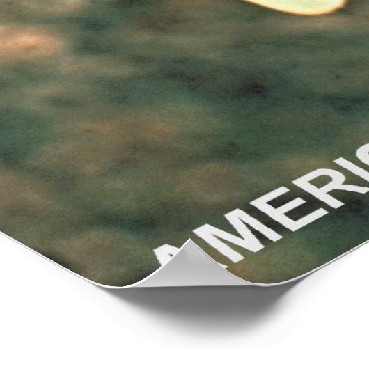 American Kestrel Poster (Ecke)