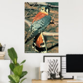 American Kestrel Poster (Heimbüro)