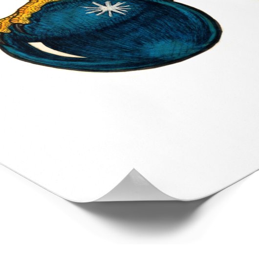 American Kestrel Poster (Ecke)