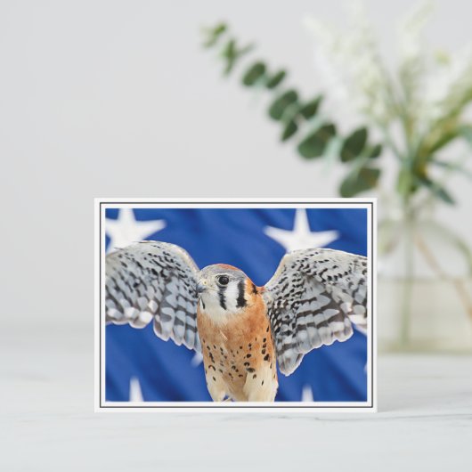 American Kestrel Postkarte (Stehend Vorderseite)