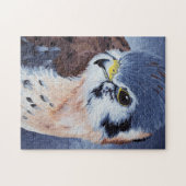 American Kestrel Puzzle (Horizontal)