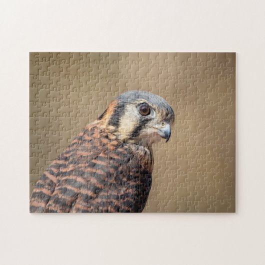 American Kestrel Puzzle (Horizontal)