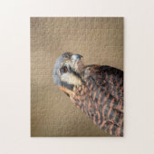 American Kestrel Puzzle (Vertikal)