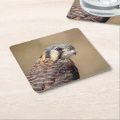 American Kestrel Rechteckiger Pappuntersetzer (angewinkelt)