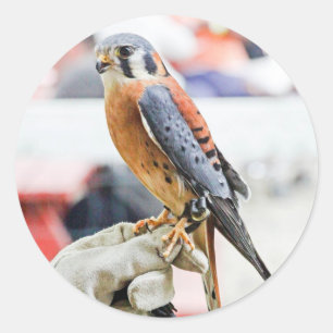 American Kestrel Runder Aufkleber