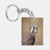American Kestrel Schlüsselanhänger (Vorderseite links)