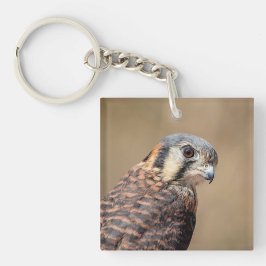 American Kestrel Schlüsselanhänger (Vorderseite)