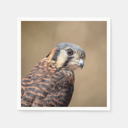 American Kestrel Serviette (Vorderseite)