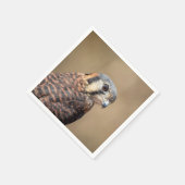 American Kestrel Serviette (Ecke)