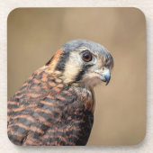 American Kestrel Untersetzer (Vorderseite)