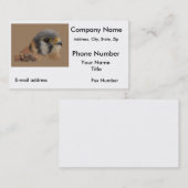 American Kestrel Visitenkarte (Vorne/Hinten)