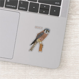 American Kestrel Vogelillustrierung Aufkleber