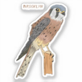 American Kestrel Vogelillustrierung Aufkleber (Vorderseite)