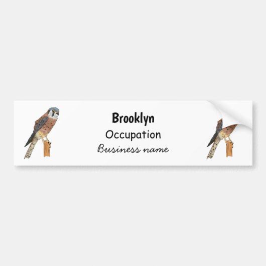 American Kestrel Vogelillustrierung Autoaufkleber (Vorne)