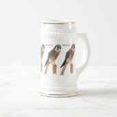 American Kestrel Vogelillustrierung Bierglas (VorderseiteRechts)