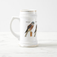 American Kestrel Vogelillustrierung