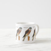 American Kestrel Vogelillustrierung Espressotasse (Vorderseite Rechts)
