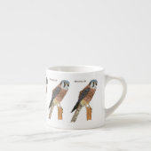 American Kestrel Vogelillustrierung Espressotasse (Rechts)