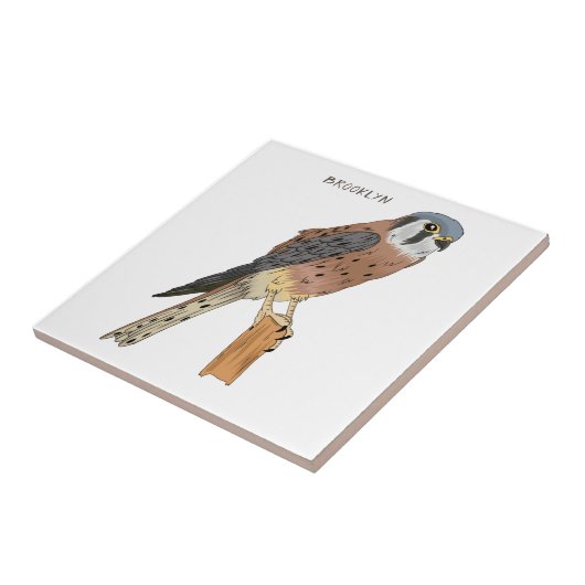 American Kestrel Vogelillustrierung Fliese (Seite)