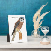 American Kestrel Vogelillustrierung Fotoplatte (Seite)