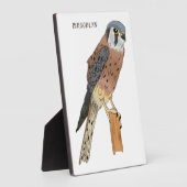 American Kestrel Vogelillustrierung Fotoplatte (Seite)