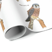 American Kestrel Vogelillustrierung Geschenkpapier (Rolleneckpunkt)