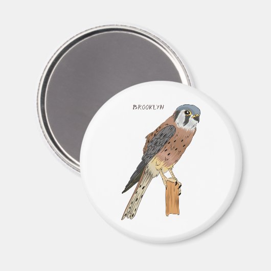American Kestrel Vogelillustrierung Magnet (Vorderseite/Rückseite)