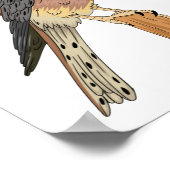 American Kestrel Vogelillustrierung Poster (Ecke)