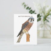 American Kestrel Vogelillustrierung Postkarte (Stehend Vorderseite)