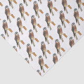 American Kestrel Vogelillustrierung Seidenpapier (Ausschnitt)