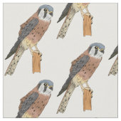 American Kestrel Vogelillustrierung Stoff (Nahaufnahme)