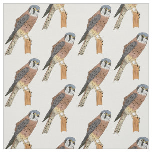 American Kestrel Vogelillustrierung Stoff